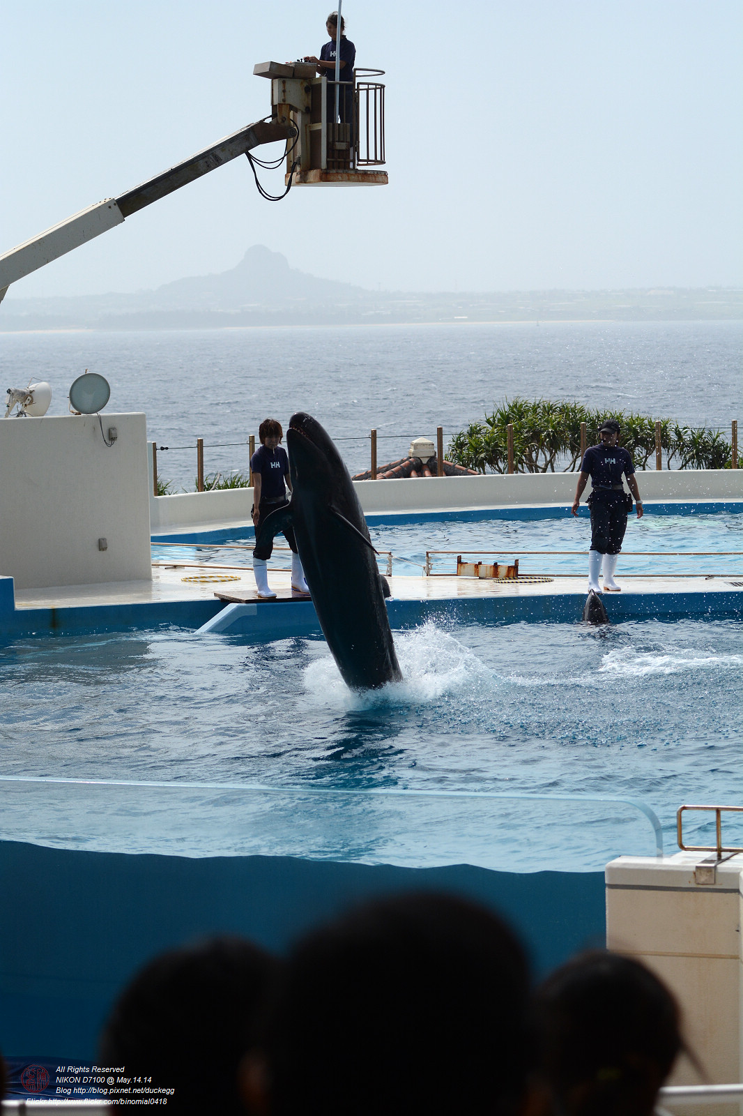 DSC_3075.jpg